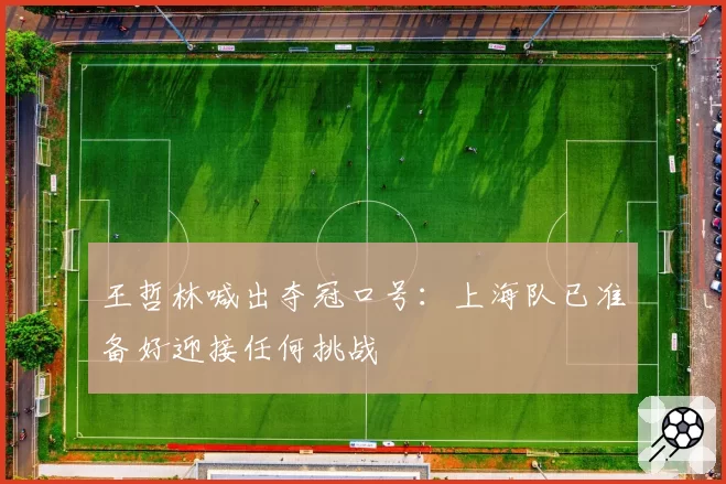 王哲林喊出夺冠口号：上海队已准备好迎接任何挑战